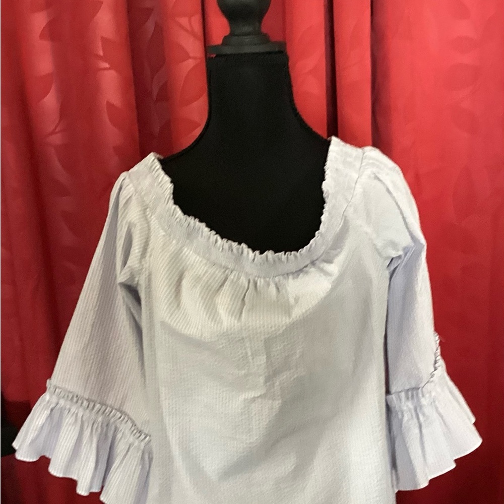 Banana Republic Sky Blue Ruffle Sleeve Blouse